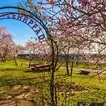 Gaestehaus & Cafe Leeze 酒店 巴特迪克海姆