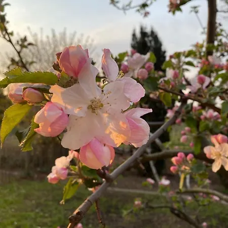 Gaestehaus & Cafe Leeze 3*