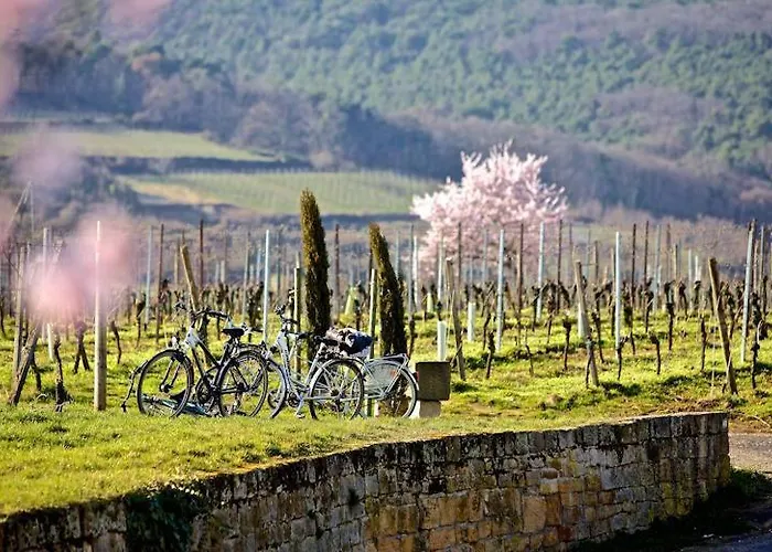 מלון Gaestehaus & Cafe Leeze באד דירקהיים