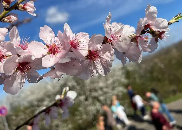 Gaestehaus & Cafe Leeze
