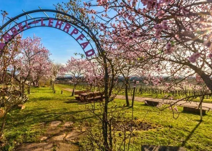 Gaestehaus & Cafe Leeze 호텔 바트두르크하임