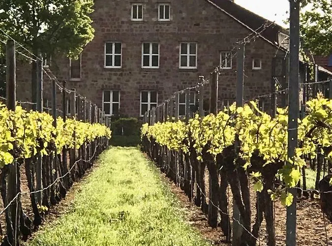 Gaestehaus & Cafe Leeze 3*