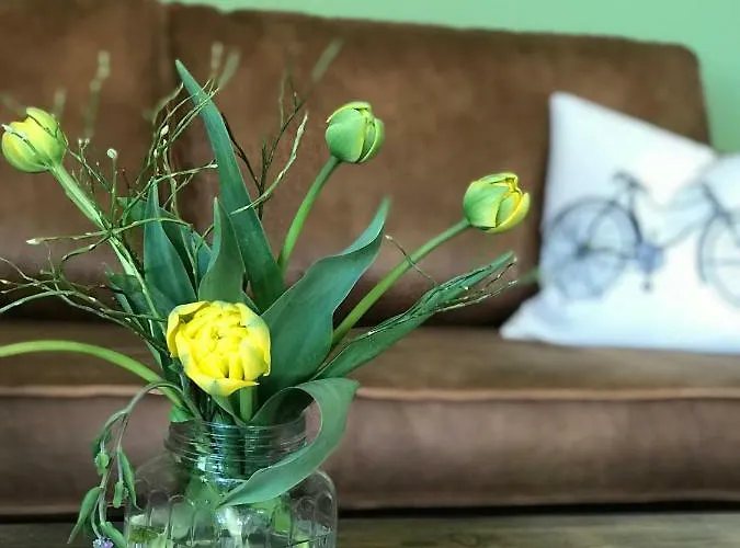 Hotel Gaestehaus & Cafe Leeze